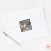 Autocollants POLAIRE (Enveloppe)