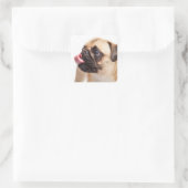 Autocollants pour chien mignon 1 (Sac)