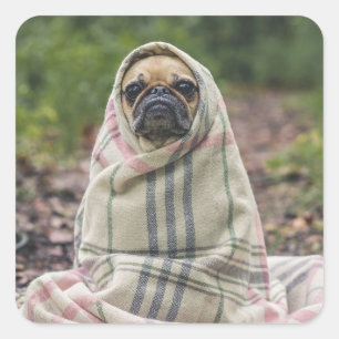 Autocollants pour chien mignon 2