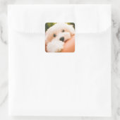 Autocollants pour chien mignon 9 (Sac)