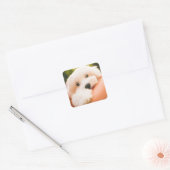 Autocollants pour chien mignon 9 (Enveloppe)