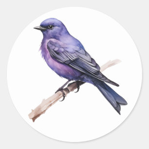 Autocollants Purple Martin Songbird