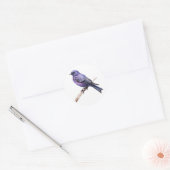 Autocollants Purple Martin Songbird (Enveloppe)