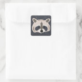 Autocollants Raccoon (Sac)