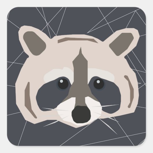 Autocollants Raccoon (Devant)