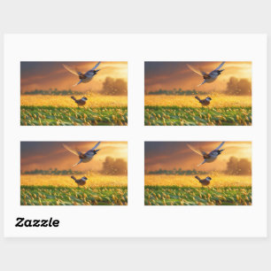 Autocollants Rectangulaires