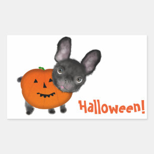 Autocollants rectangulaires de Bulldog de Hallowee