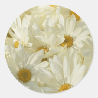 autocollants ronds de 1 de 1/2 marguerite de pouce