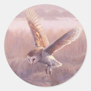 Autocollants ronds de hibou de grange