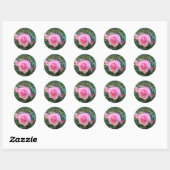 Autocollants Ronds Rose (Feuille)
