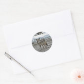 Autocollants sauvages (Enveloppe)