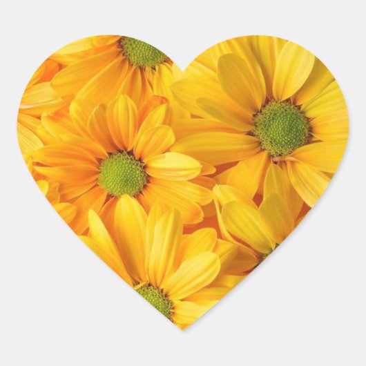 Autocollants Sunflower Dreams qui Sourient en Reto (Devant)