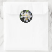 Autocollants Syringa (Sac)