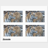 Autocollants Tigre (Feuille)