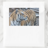 Autocollants Tigre (Sac)