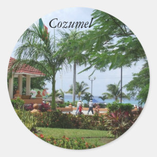 Autocollants tropicaux de palmier de Cozumel