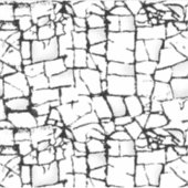 Autocollants vinyles brillants | Conception graphi (Devant)