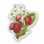 Autocollants vinyles en forme de fraises (Devant)