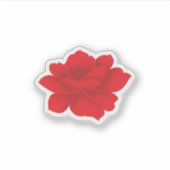 Autocollants vinyles personnalisés. Voitures. Murs (Devant)