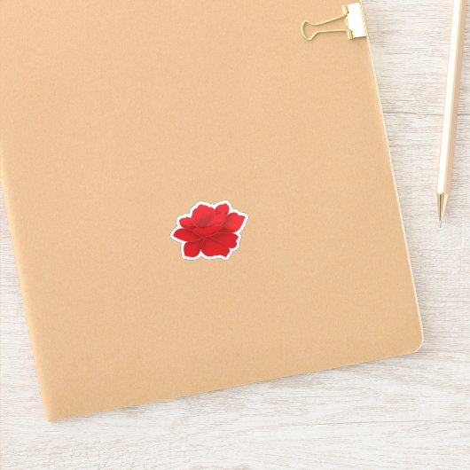 Autocollants vinyles personnalisés. Voitures. Murs (Carnet)