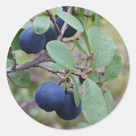 Autocollants Wild Berries (Devant)