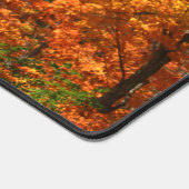 Automne (Coin)