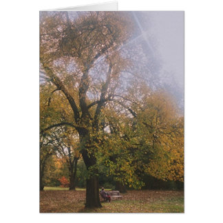 Automne à Melbourne