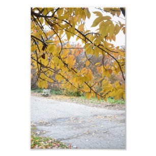 Automne à New York City Riverside Park NYC Photo