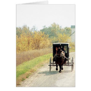 Automne Amish Horse et Buggy