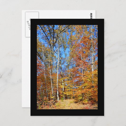 Automne appalachien de traînée, carte postale de (Devant / Derrière)