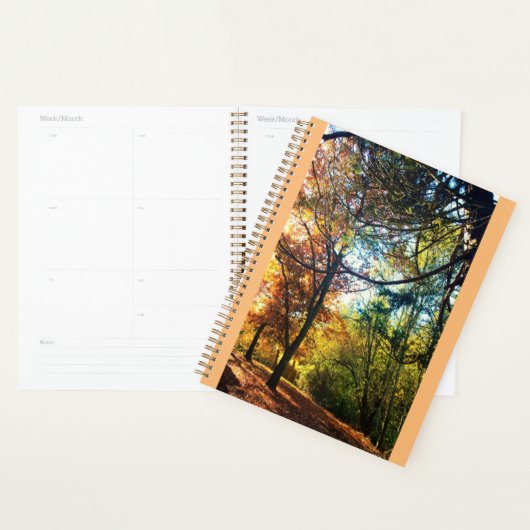 Automne après-midi (Devant avec enveloppe)