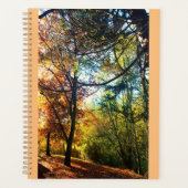 Automne après-midi (Devant)
