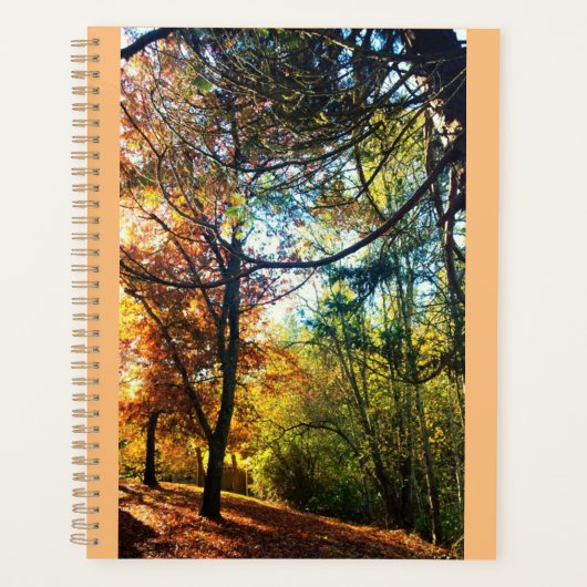 Automne après-midi (Devant)