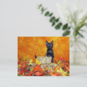Automne Ashlynn - Chat / Kitten Carte Postale (Debout devant)
