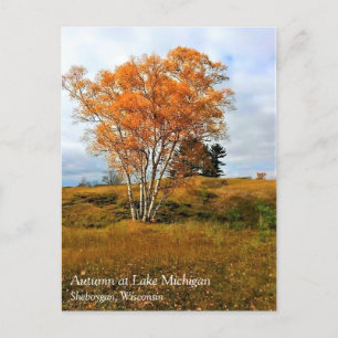 Automne au lac Michigan Carte postale