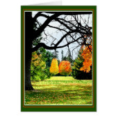 Automne Au Parc (Devant)