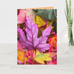 AUTOMNE AUTOMNE FEUILLES ANNIVERSAIRE CARTE DE SAL