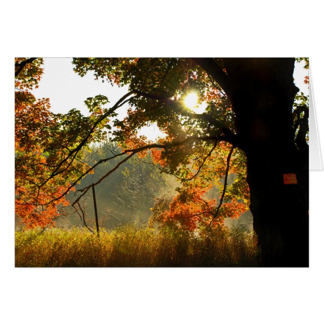 Automne Bonjour (Devant Horizontal)