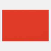 Automne Bright Fallen Feuilles Plaid (Devant 3)