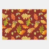 Automne Chêne Feuilles et Acorns Nature (Devant)