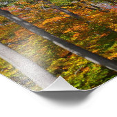 Automne dans la forêt Colorée Photographie d'autom (Coin)