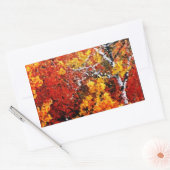 Automne dans la forêt - Peinture Art Stickers (Enveloppe)