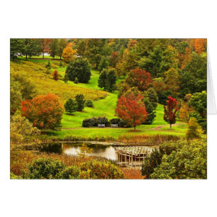 Automne dans le parc