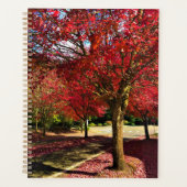 Automne dans le quartier, Oregon (Devant)