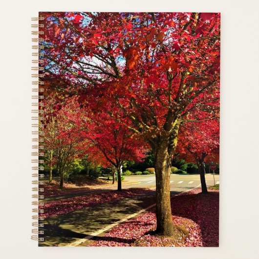 Automne dans le quartier, Oregon (Devant)