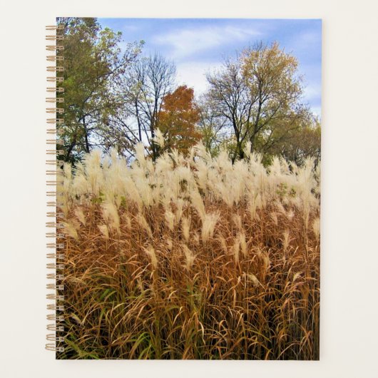 Automne dans le Wisconsin (Devant)