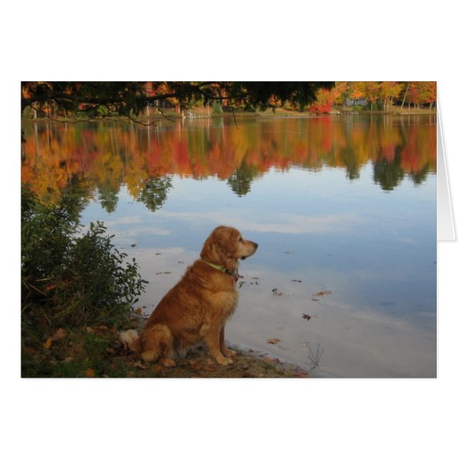 Automne de golden retriever au lac (Devant horizontal)