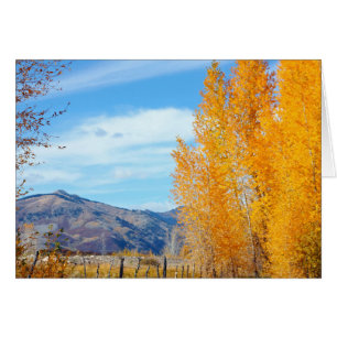 Automne de Platas de La