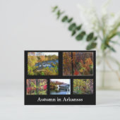 Automne en Arkansas Photo carte postale (Debout devant)