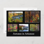 Automne en Arkansas Photo carte postale (Devant / Derrière)